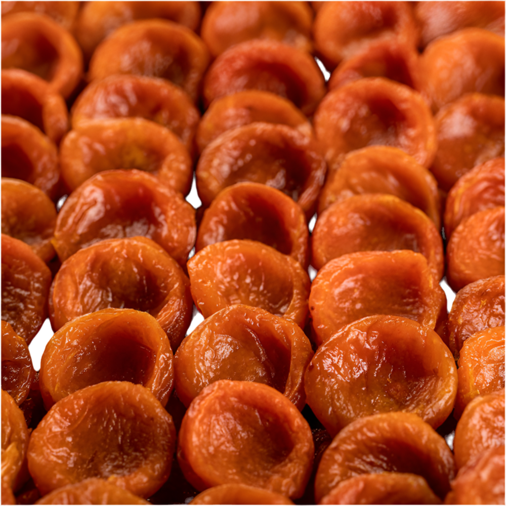 Uzbakistan Apricots  1 lb