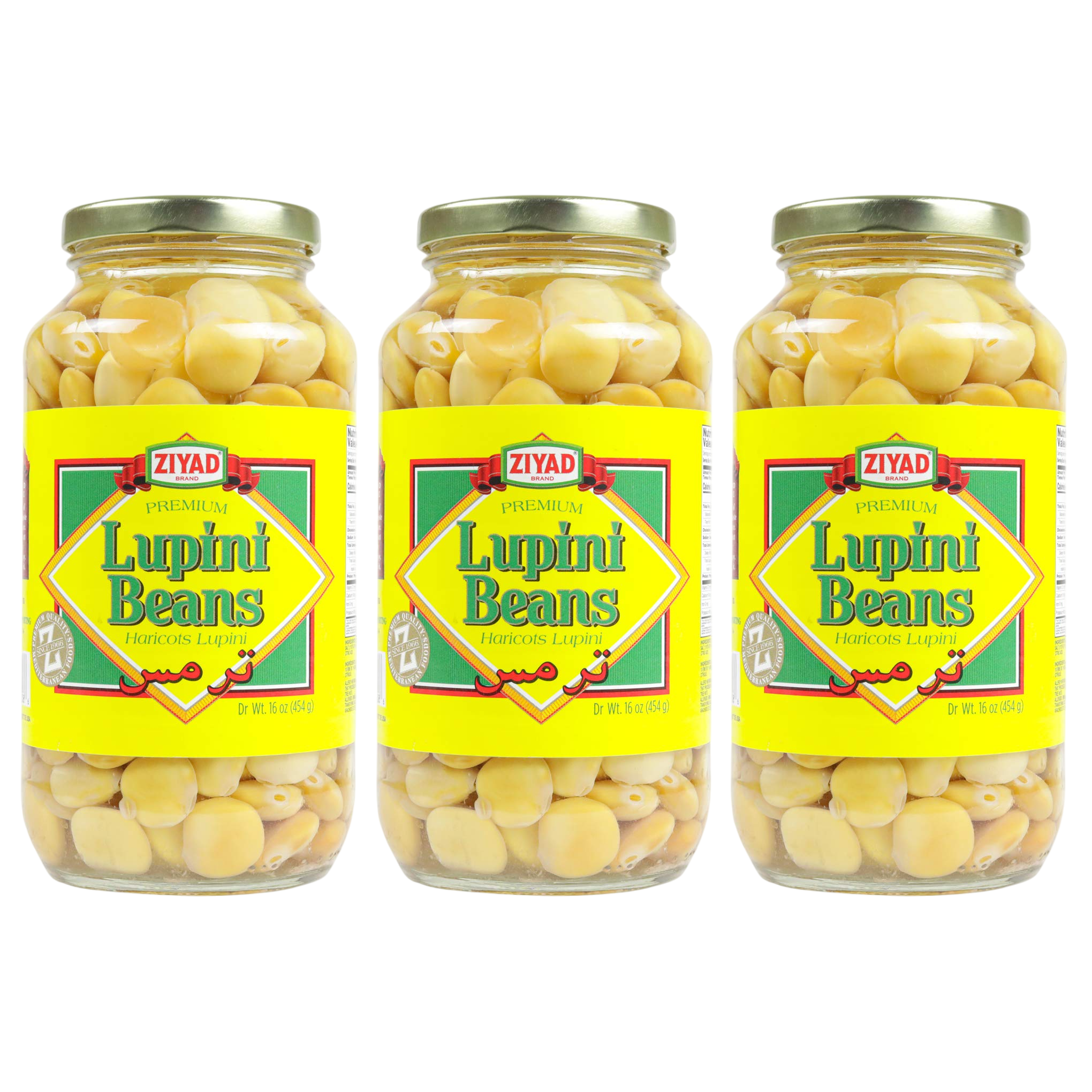 Ziyad Lupini Beans 48 oz