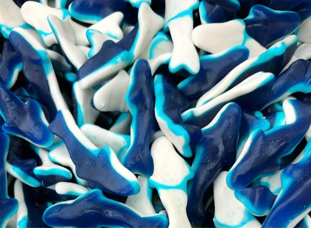 Halal Blue Sharks Gummy 1lb