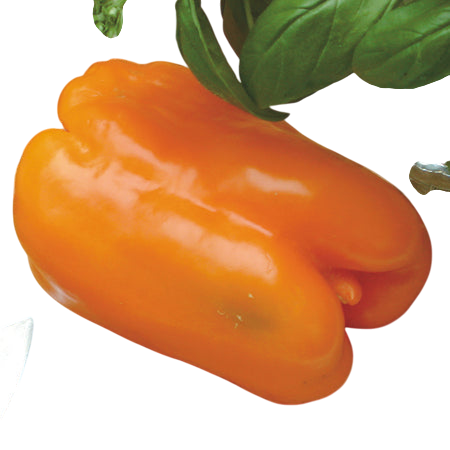 Gourmet 212  Orange Drop Peppers 210g