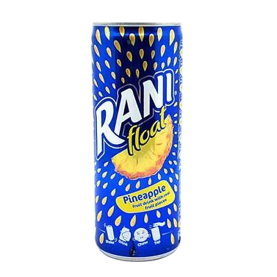 Rani Pineapple Float 24 oz.