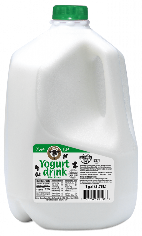 Karoun Yogurt Drink Mint 1pt