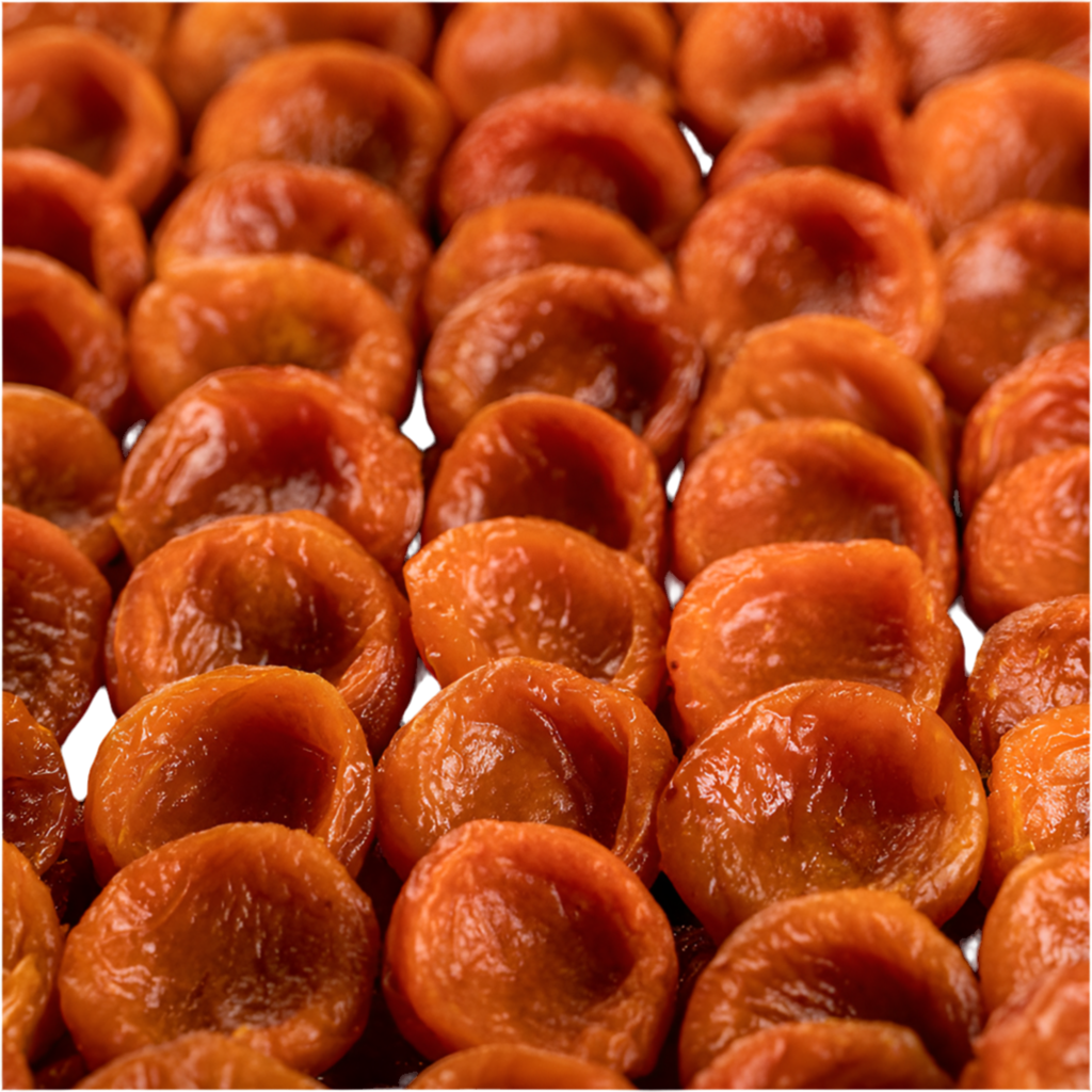 Uzbakistan Apricots  1 lb